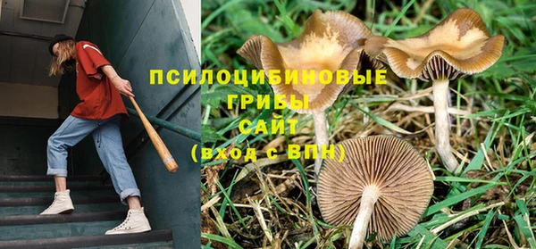 mdpv Нязепетровск